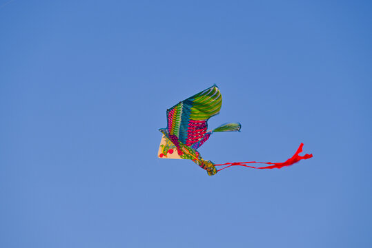 新竹风筝节