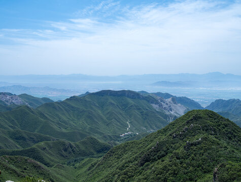 云中草原高山植被