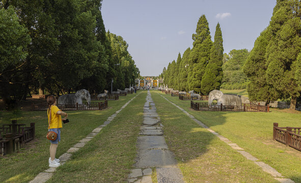 明显陵景区