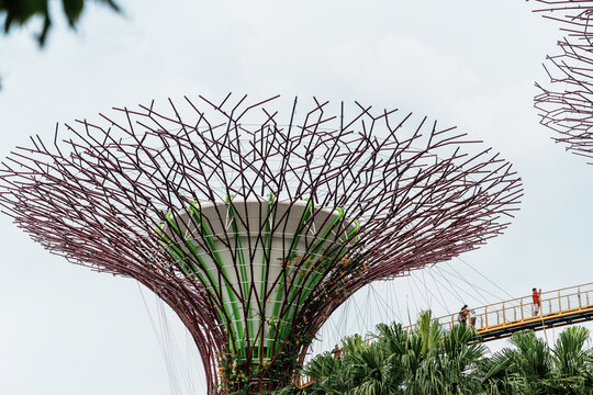 新加坡滨海湾花园超级树