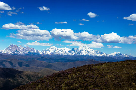 马尔可