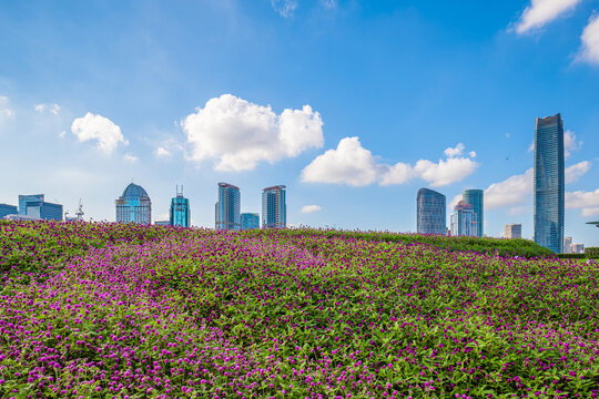 花坛和城市