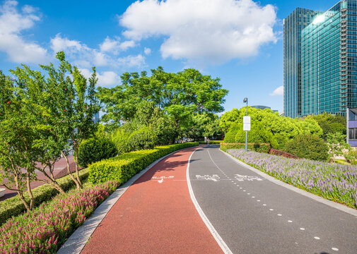 城市自行车骑行道路