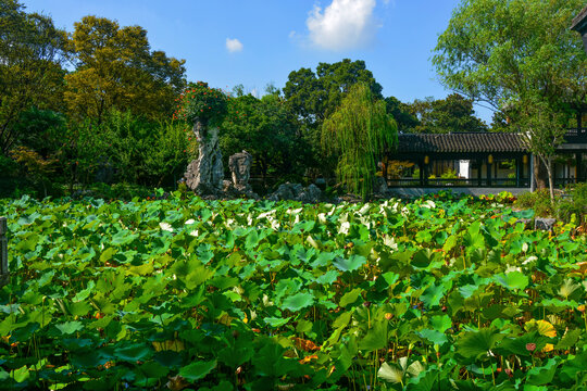 木渎古镇虹饮山房