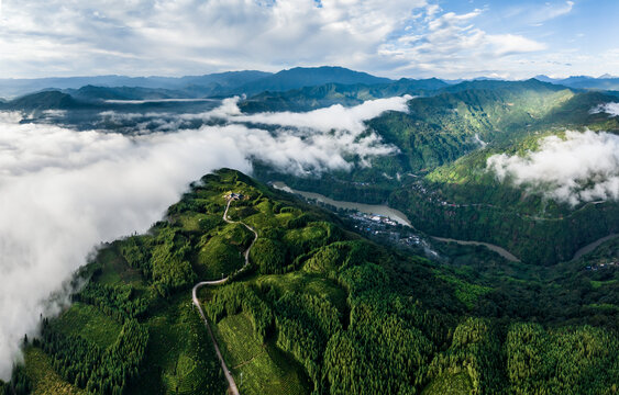 广袤山川大地高山茶园云雾缭