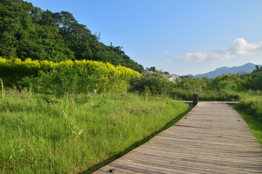 含光生态公园风景