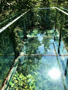 玻璃桥