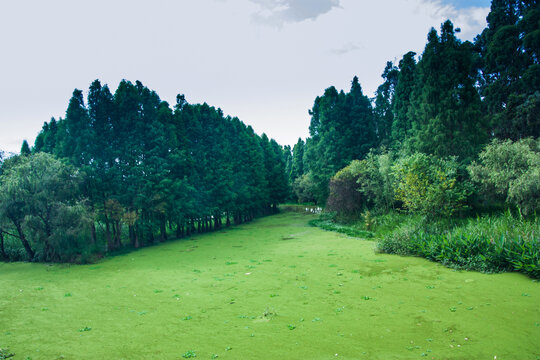 昆明国家湿地公园