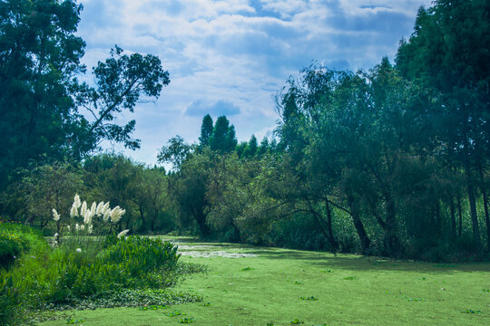 昆明国家湿地公园