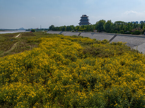 航拍济南百里黄河风景区