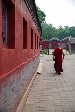 河北承德普宁寺