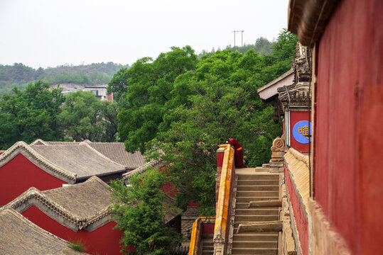 河北承德普宁寺