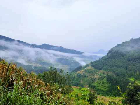 云雾山水