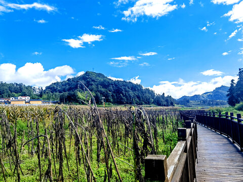 乡村旅游