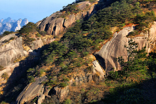 黄山美景特写