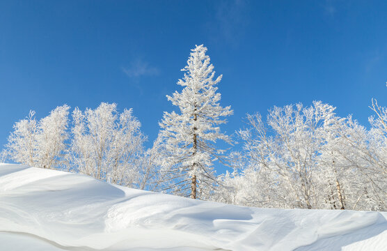 冬天的雪景雾凇