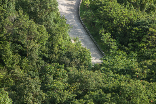 绿林水泥道路