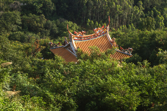 密林寺院