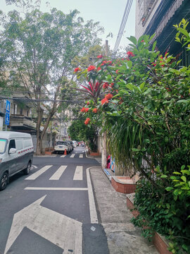 海口滨海新村街景