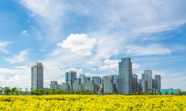 城市住宅区