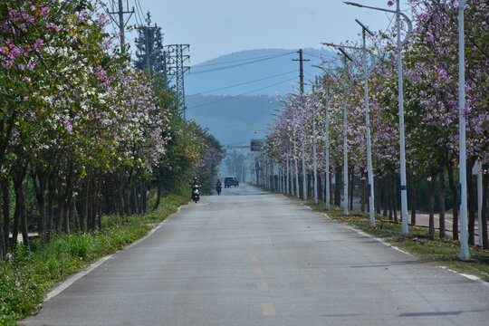 南宁郊区风光