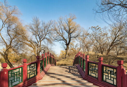 冬季的北京公园