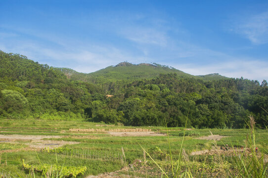 山丘丘陵田地