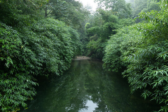 都江堰熊猫谷小溪风景