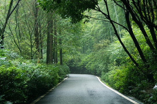 成都都江堰熊猫谷路径风景