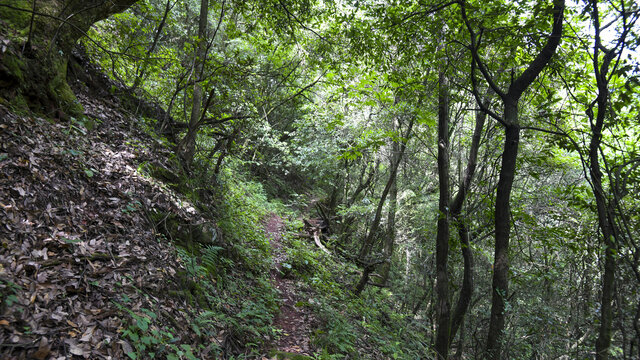 嵩明大尖山