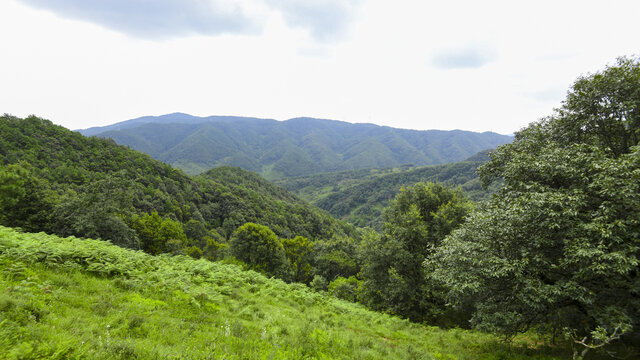 嵩明大尖山