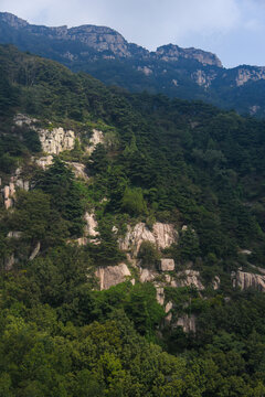 泰山风光