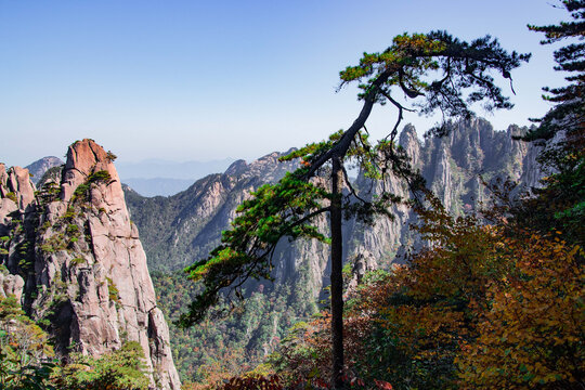 安徽黄山风景区