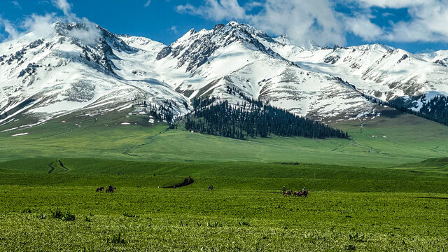 蓝天白云雪山图