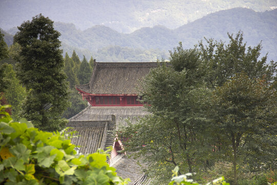 树丛中的青城山天国寺