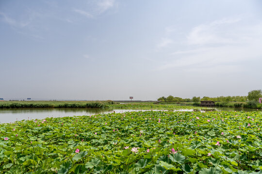 鸣翠湖国家湿地公园