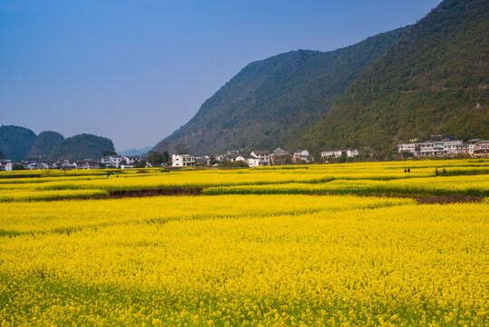 春天村庄