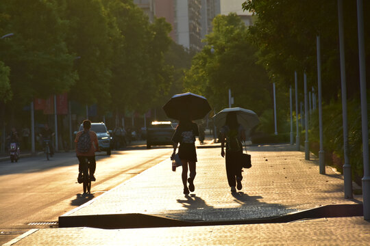 广西大学