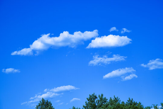 云朵云彩云团树