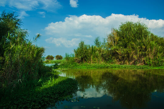 昆明滇池国家湿地公园