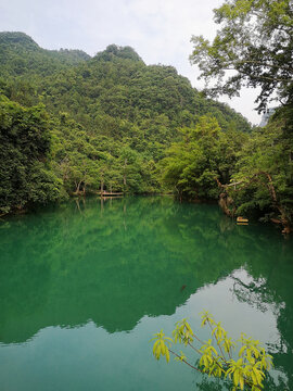 青山绿水