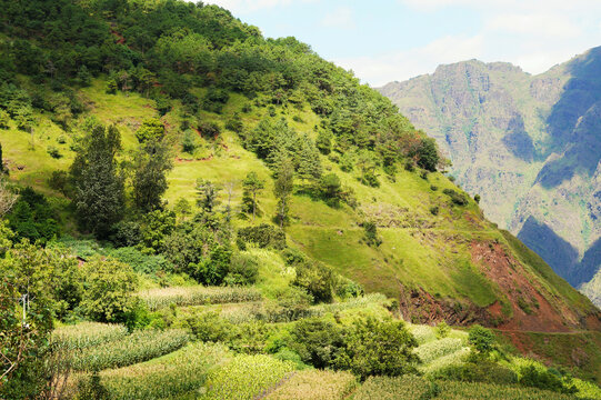 大山深处