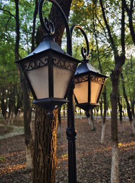 公园的中式路灯