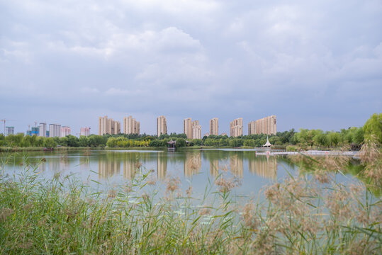 郊区湖泊风光美景