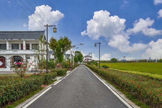 新农村柏油路