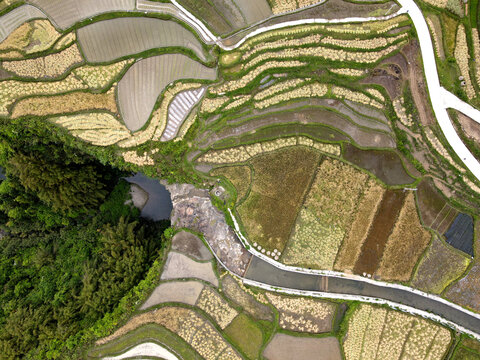 贵州梯田航拍