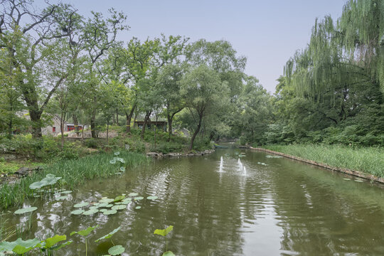 北京大学