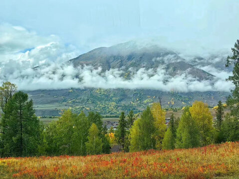 喀纳斯秋景