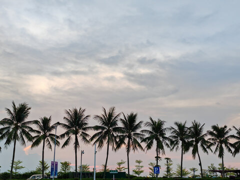 海南海口海口湾海边