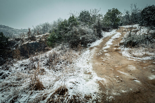 雪路